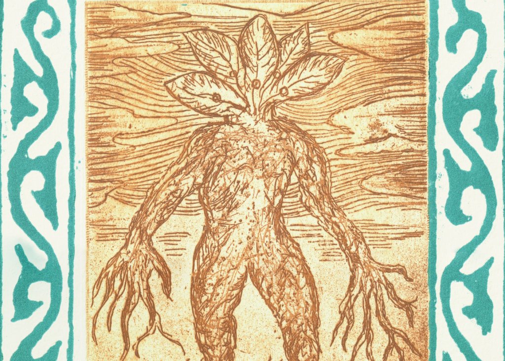Mandrake