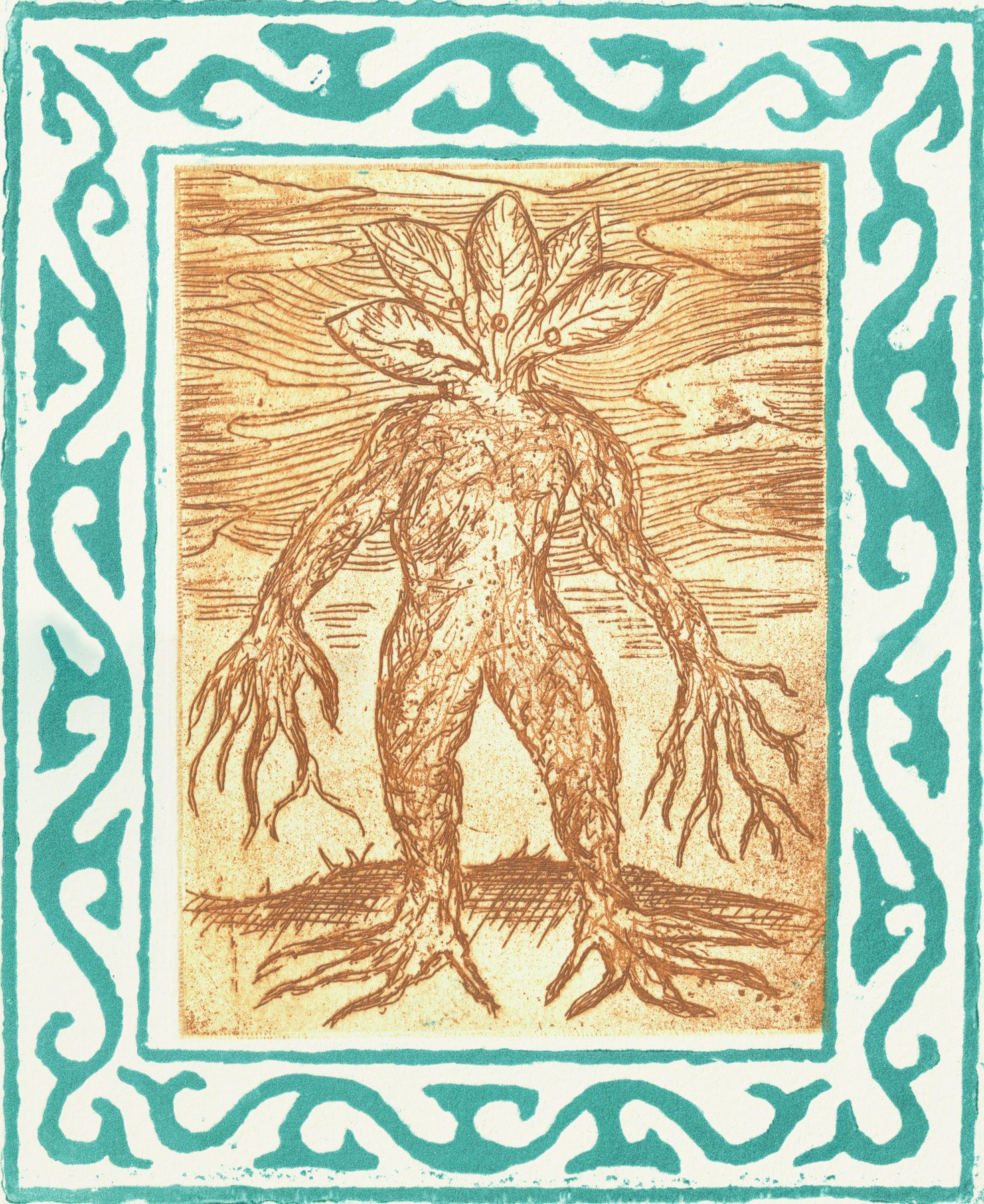 Oliver McConnie, Mandrake, etching, 17 x 14cm, 2020. Plate mark crop.