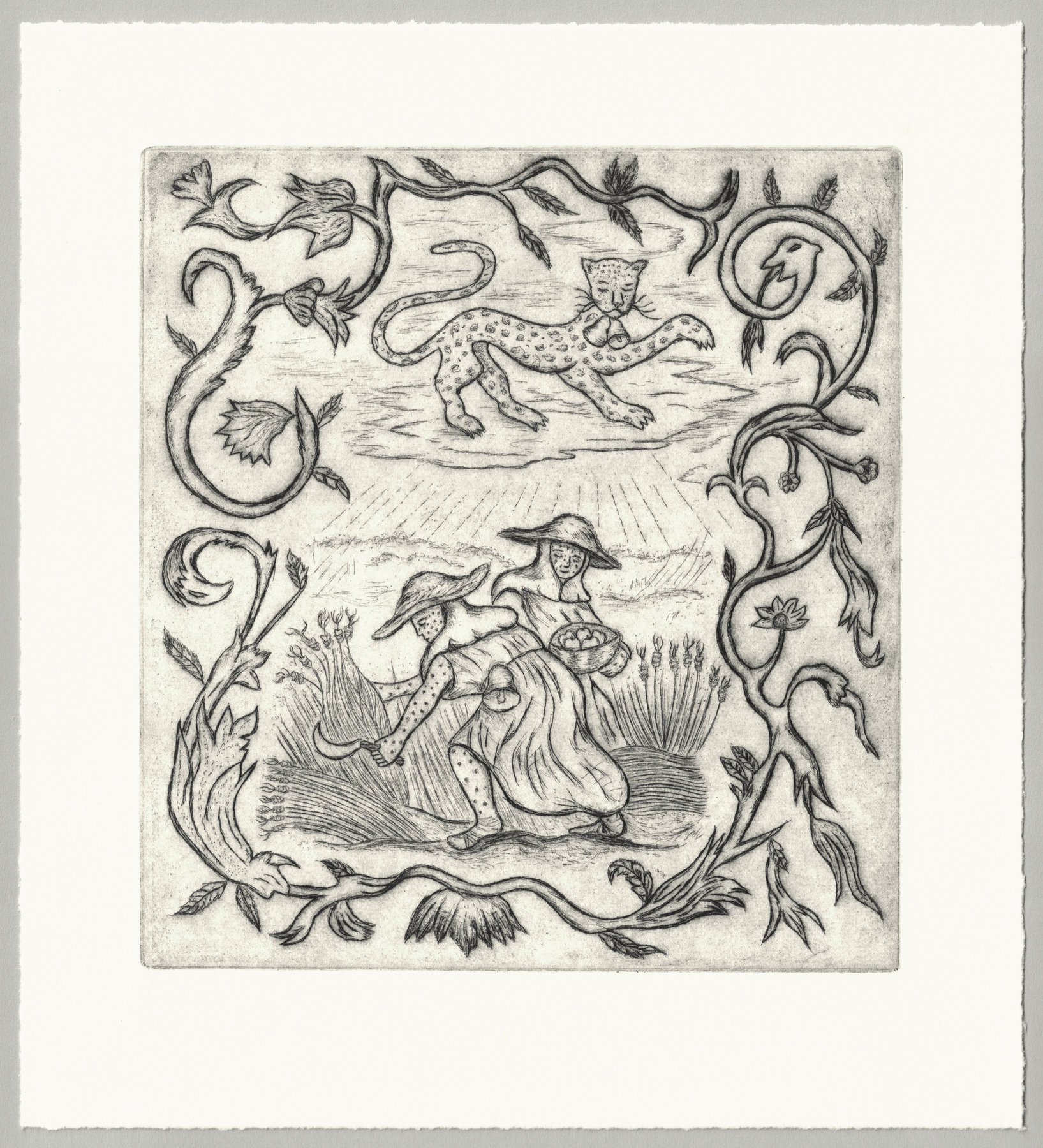 Oliver McConnie, Veiled Refrain, drypoint, 21 x 19cm, 2025. Full sheet.
