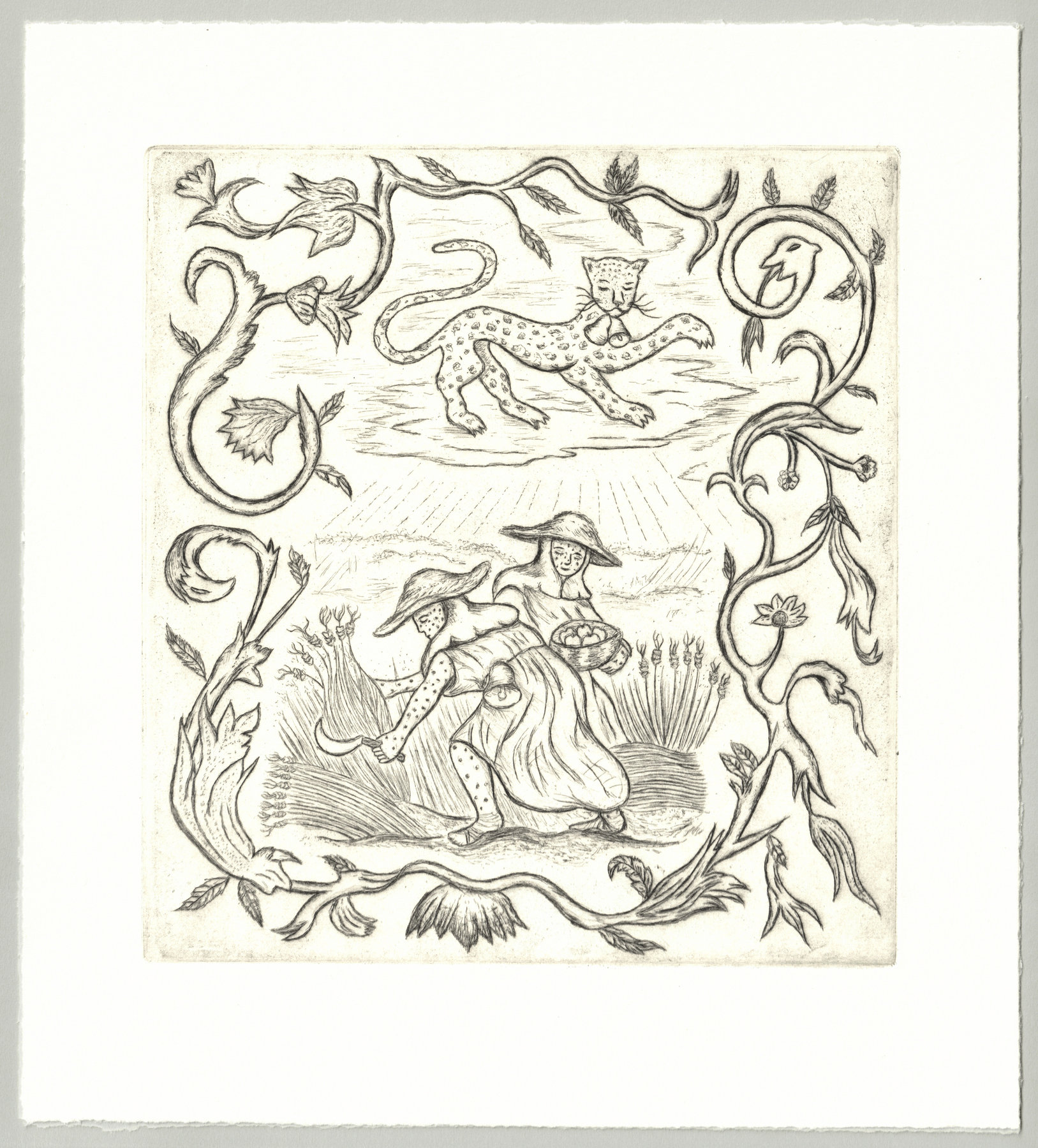Oliver McConnie, Veiled Refrain, drypoint, 21 x 19cm, 2025. Full sheet.